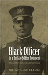 Black Officer in a Buffalo Soldier Regiment cover image