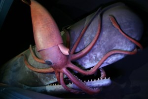 GiantSquid