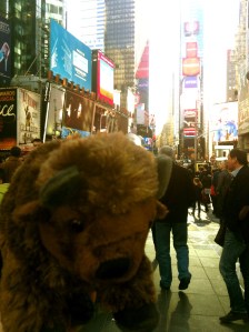 Benny in Times Square_EG3