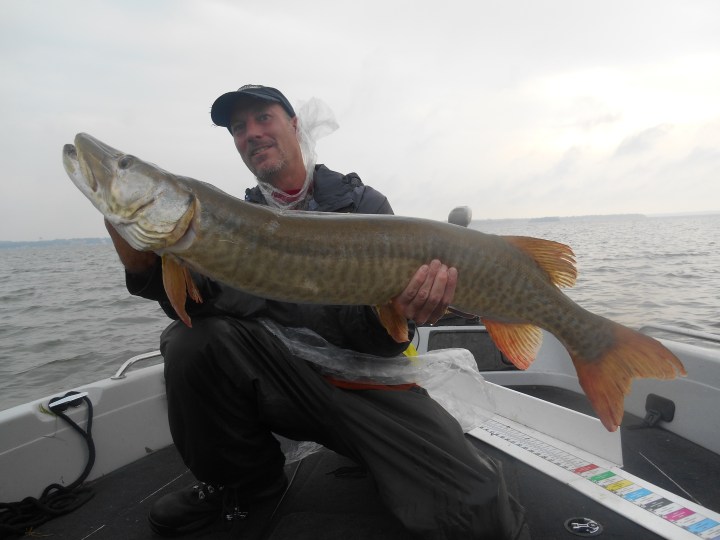 muskie