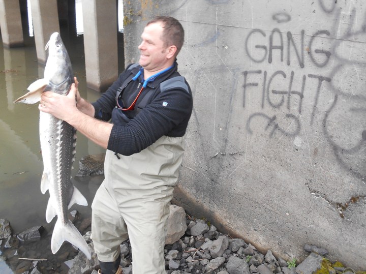 fig12_Spiter_Nov 2018