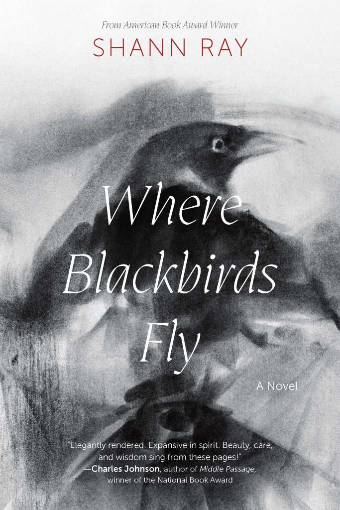 Cover of "Where Blackbirds Fly"