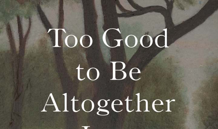 Cover of "Too Good to Be Altogether Lost: Rediscovering Laura Ingalls Wilder's Little House Books."