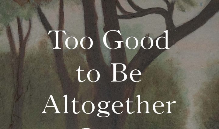 Cover of "Too Good to Be Altogether Lost: Rediscovering Laura Ingalls Wilder's Little House Books."